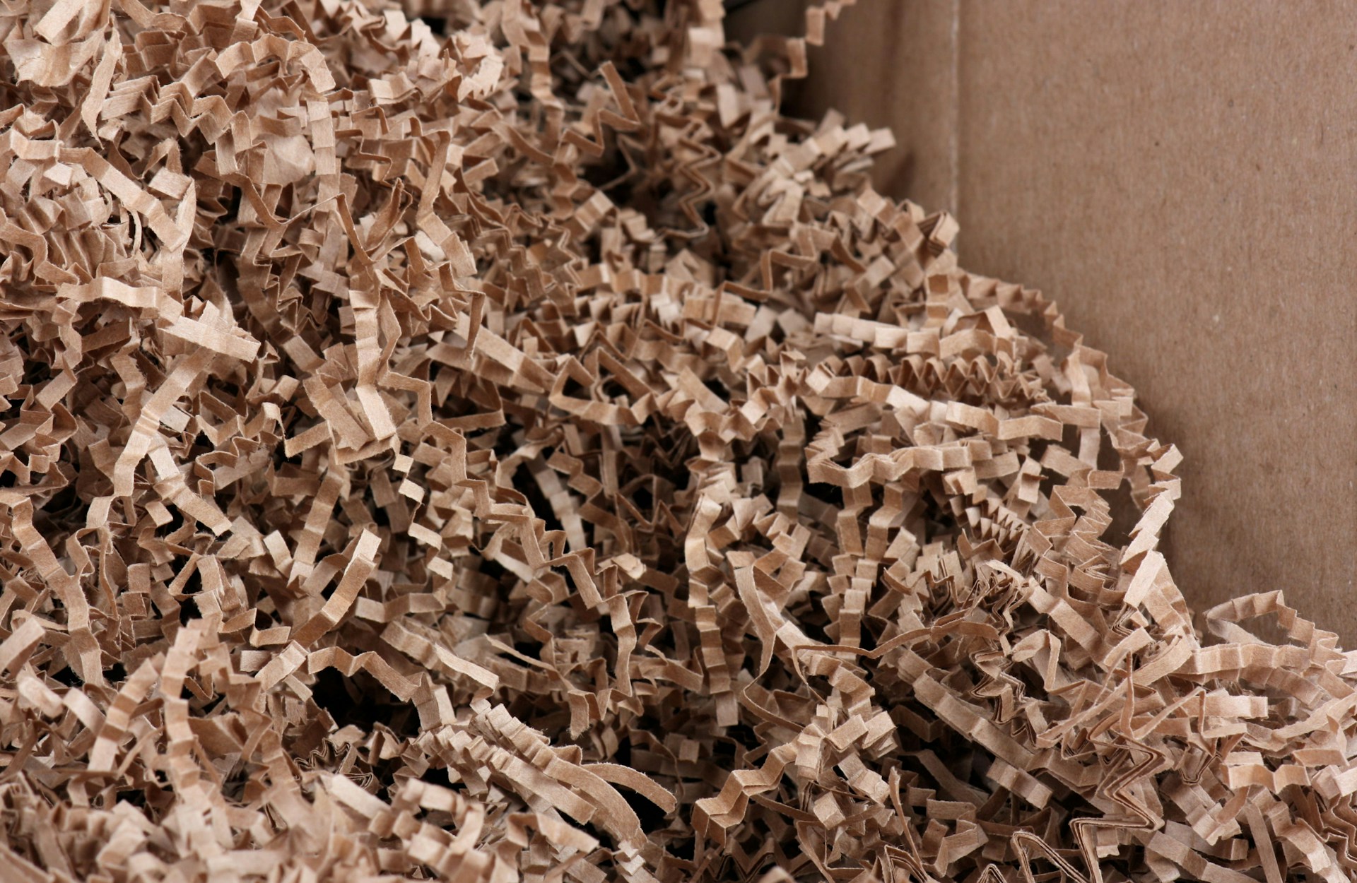 Clearing Out Before Holiday Guests: Office Shredding in Boynton Beach